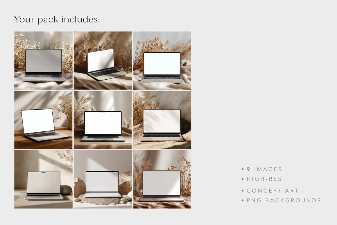 Laptop Mockups