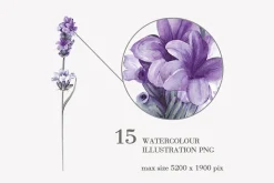 34 Lavender branch and bouquet