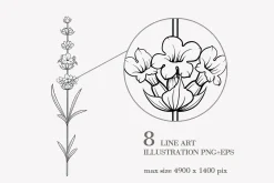 34 Lavender branch and bouquet