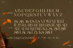 Leina Savira Stylish Serif Font