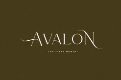 Le Major | Display Serif Font