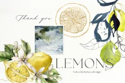 Lemon Watercolor illustration floral