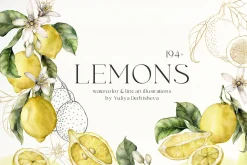 Lemon Watercolor illustration floral