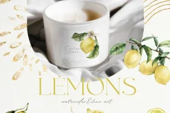 Lemon Watercolor illustration floral