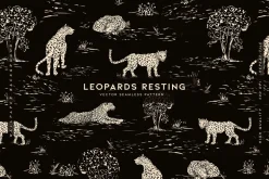 Leopards Resting