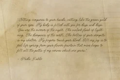 Les Palmiers - Handwritten Script