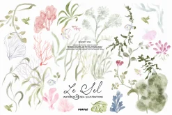Le Sel: Watercolor Sea Illustrations