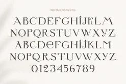 Letterature ligature serif font