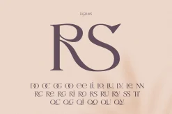 Letterature ligature serif font