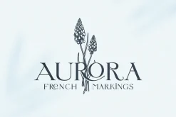 Letterature ligature serif font
