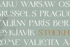 Letterature ligature serif font