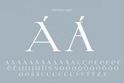 Letterature ligature serif font