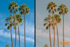 LIFESTYLE PRESETS LIGHTROOM DESKTOP