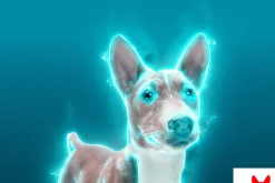 Light Photoshop Action