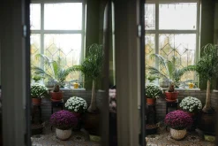 Lightroom Desktop & Mobile Presets