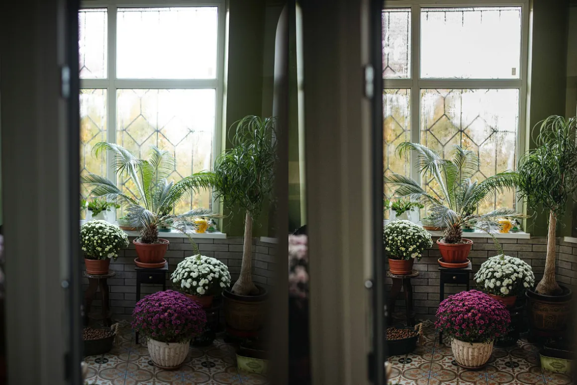 Lightroom Desktop & Mobile Presets