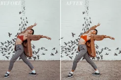 Lightroom Desktop Preset BRIGHT