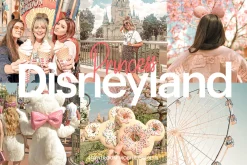 Lightroom Preset-Disneyland Princess