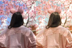 Lightroom Preset-Disneyland Princess