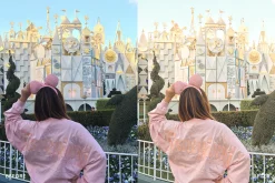 Lightroom Preset-Disneyland Princess