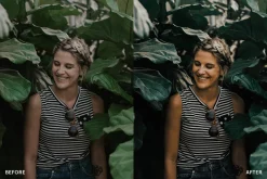 Lightroom Preset-Olive Sunflower