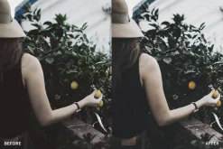 Lightroom Preset-Olive Sunflower