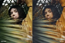Lightroom Preset-Olive Sunflower