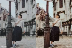 Lightroom Preset-Paris Dream