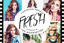 Lightroom presets Desktop + Mobile