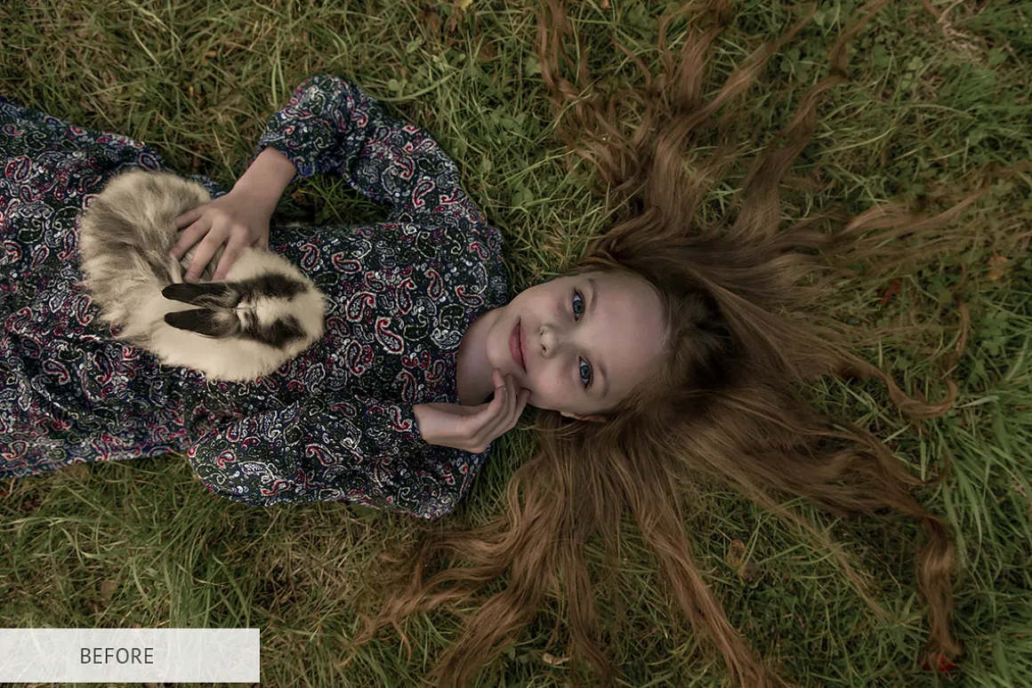 Lightroom Presets-Entire Collection