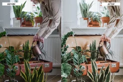 Lightroom Presets Home & Interiors