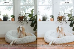 Lightroom Presets Home & Interiors