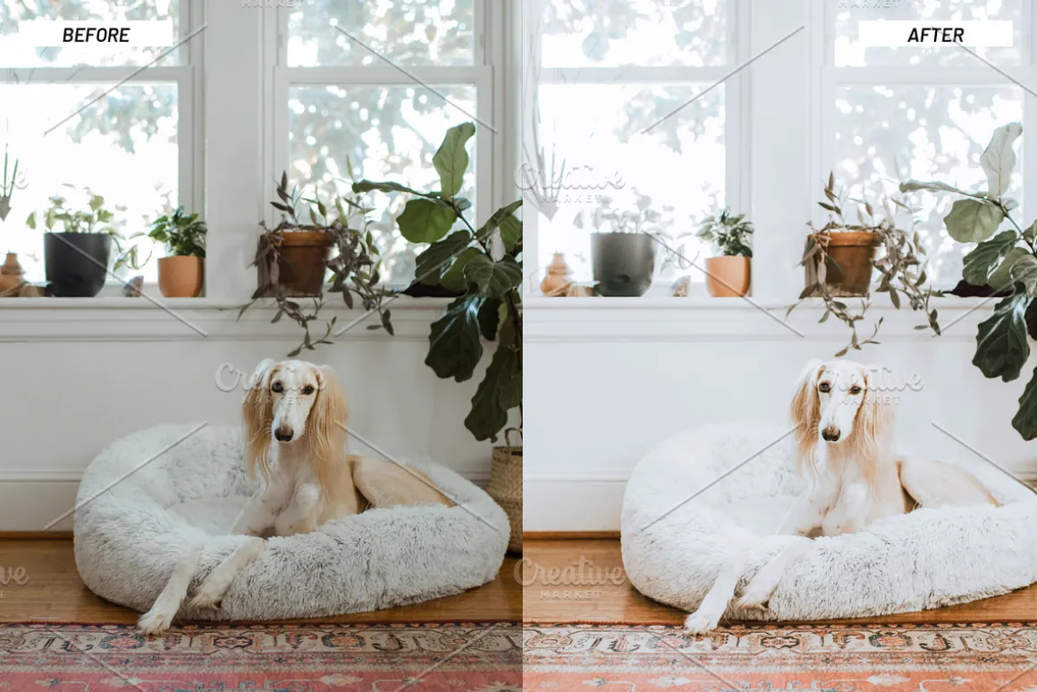 Lightroom Presets Home & Interiors