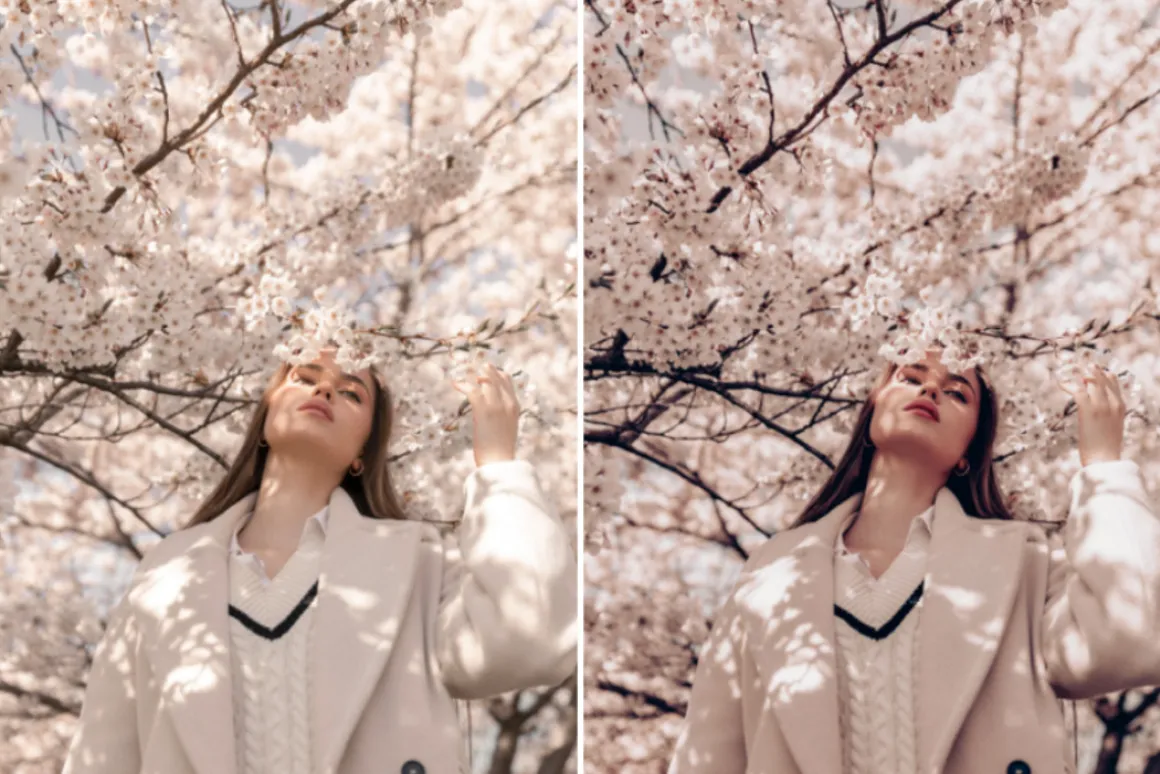 20 Lightroom Presets Spring Time p1