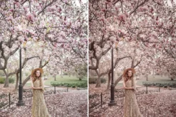 20 Lightroom Presets Spring Time p1