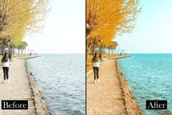 Lightroom preset Summer nature