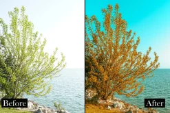 Lightroom preset Summer nature