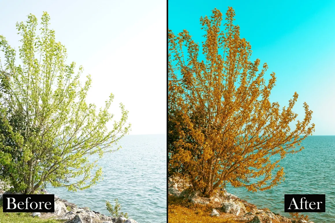 Lightroom preset Summer nature