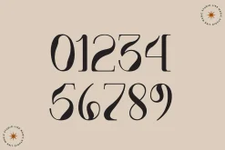 Like Magic | Whimsical Display Serif