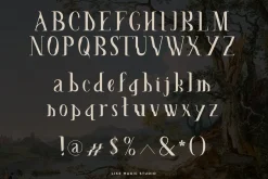 Like Magic | Whimsical Display Serif