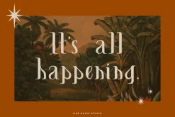 Like Magic | Whimsical Display Serif