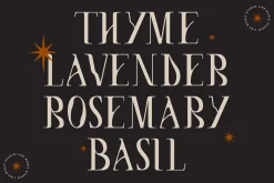 Like Magic | Whimsical Display Serif