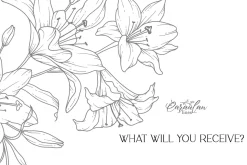 Lily Line Art Procreate Stamps