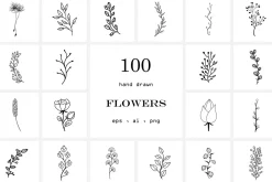 Line Art & Icons bundle