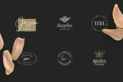 500 Logos Bundle