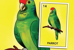 Lotería Procreate Brushes & Tutorial