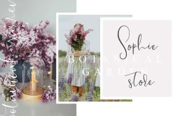 Lovely Day Script