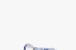 Low Poly Koala