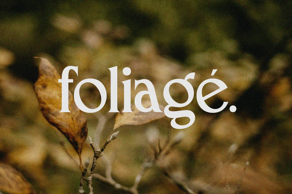 Macchiola | Vintage Display Serif