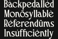 Macchiola | Vintage Display Serif